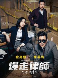 愤怒的律师 poster