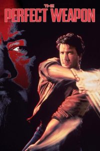 亡命终结者 poster