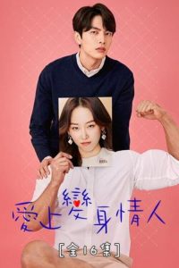 内在美 poster