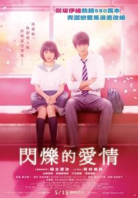 闪烁的爱情 poster