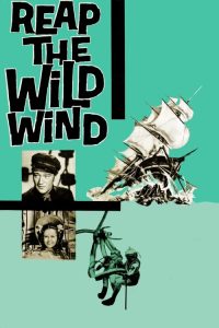 野风 poster