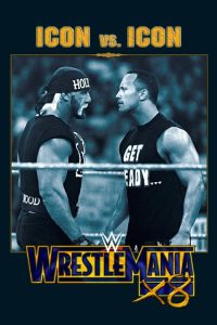 WWE 摔角狂热 18 poster