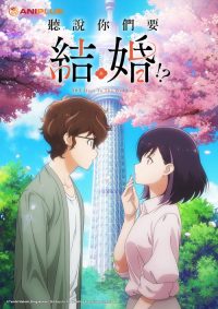 真的要结婚吗 poster