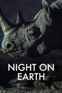 地球的夜晚 poster