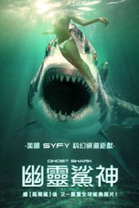 鬼鲨