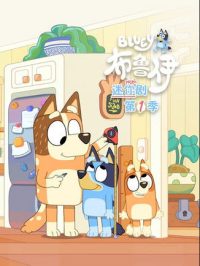 布鲁伊迷你剧 poster