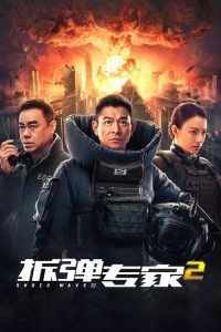 拆弹专家2 poster