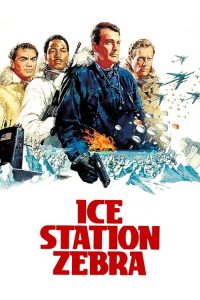 大北极 poster