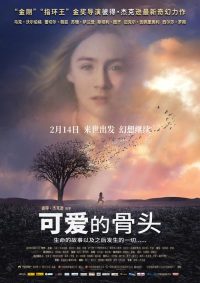 可爱的骨头 poster