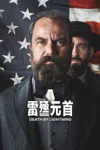 雷殛元首 poster
