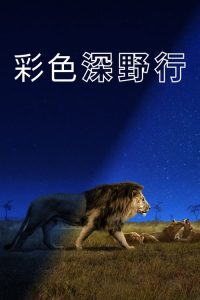 Earth at Night in Colour poster