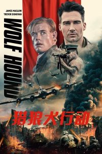 猎狼犬行动 poster