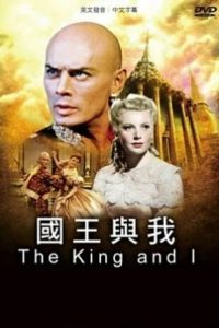 国王与我 poster