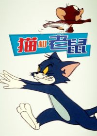 猫和老鼠 poster