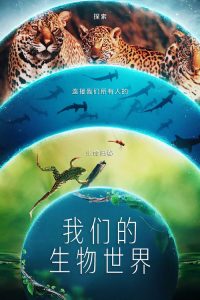 我们的生物世界 poster