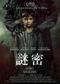 老房之秘 poster