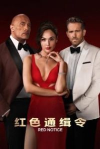红色通缉令 poster