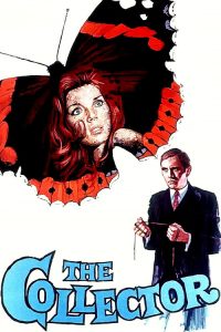 蝴蝶春梦 poster