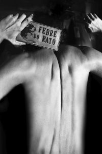 Febre do Rato poster