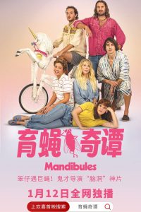 育蝇奇谭 poster