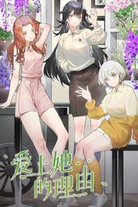 爱上她的理由 poster