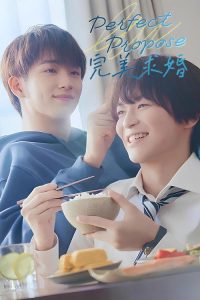 完美求婚 poster