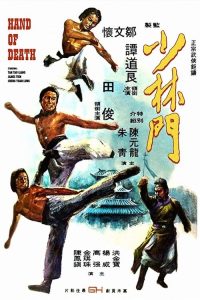 少林门 poster