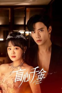 盲心千金 poster
