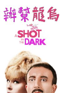 粉红豹系列：黑夜怪枪 poster