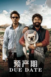 预产期 poster