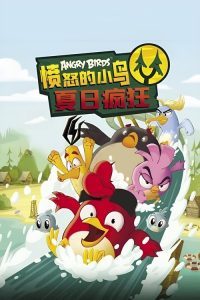 愤怒的小鸟：疯狂夏日 poster