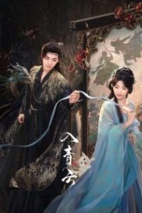 入青云 poster
