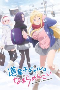北海道辣妹贼拉可爱 poster