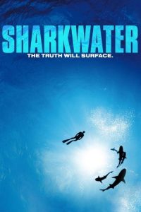 鲨鱼海洋 poster