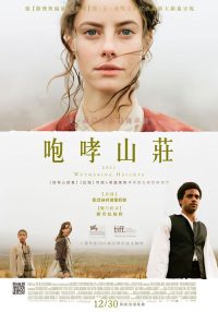 呼啸山庄 poster