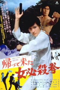 女必杀拳归来 poster
