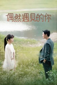 偶然遇见的你 poster