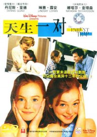 天生一对 poster
