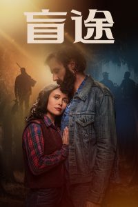 盲证 poster