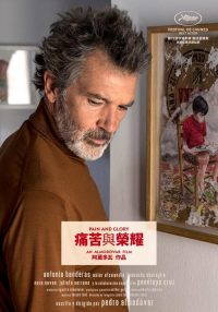 痛苦与荣耀 poster