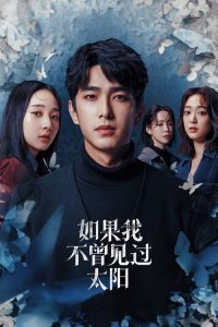 如果我不曾见过太阳 poster