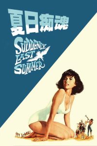 夏日痴魂 poster