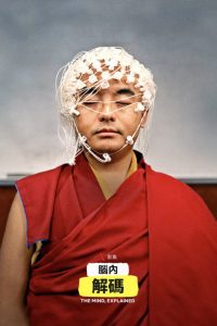 头脑解密 poster