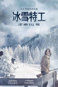 冰雪特工 poster