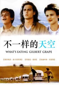 不一样的天空 poster