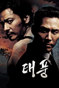 台风 poster