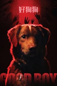好狗狗 poster