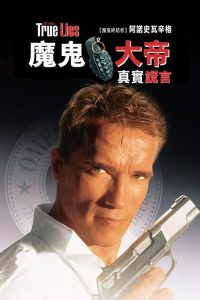 真实的谎言 poster