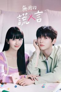 没用的谎言 poster