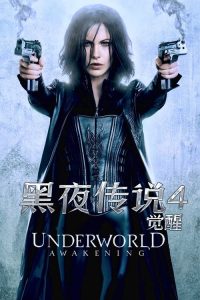 黑夜传说4：觉醒 poster